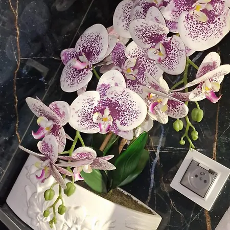 Appartement Z Jacuzzi *