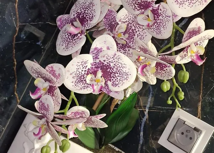 Appartement Z Jacuzzi *